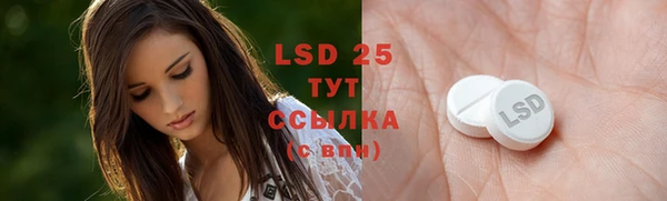 PSILOCYBIN Алексеевка