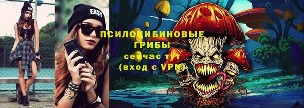 дмт Алексин