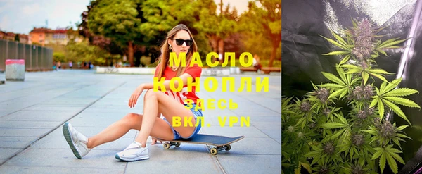 дмт Алексин