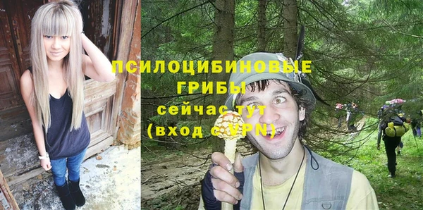 PSILOCYBIN Алексеевка