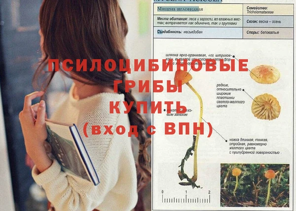 PSILOCYBIN Алексеевка