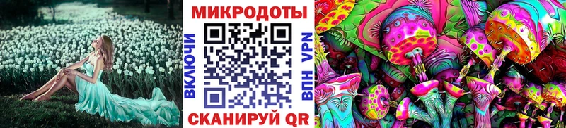купить наркотик  Ковылкино  Галлюциногенные грибы мухоморы 